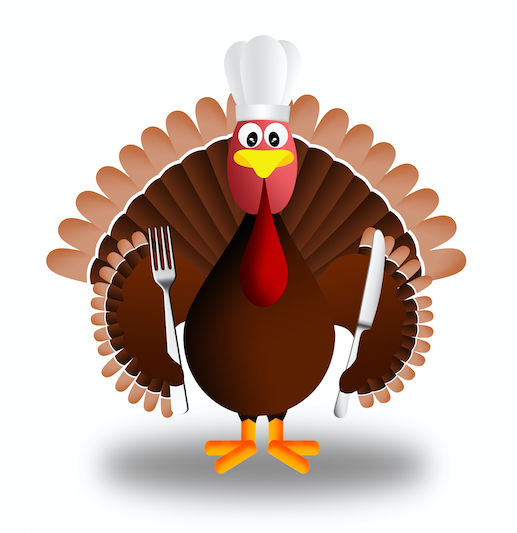 Thanksgiving & Job Search: Don't be a Turkey!